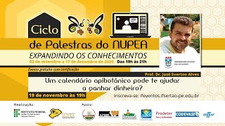 Um calendário apibotânico pode te ajudar a ganhar dinheiro?