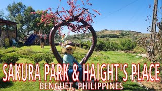 Sakura Park & Haights Place - Benguet, Philippines