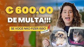 COMO LEVAR MEU PET PARA ITALIA COMPLETO - PASSO A PASSO | VIVER NA ITÁLIA