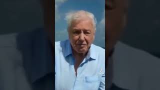 David Attenborough swears 😱