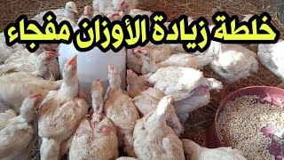 خلطة تسمين وزيادة أوزان الفراخ البيضاء في أسرع وقت وفاتح شهية و.....