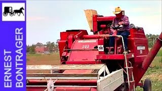 International Harvester Combining Beans