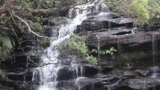 A sample of Somersby Falls, Central Coast, NSW