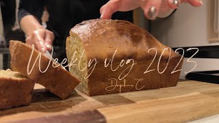 Weekly diary 🍡 NOV | First TaoBao haul | making banana loaf late night | mofusand gachapon