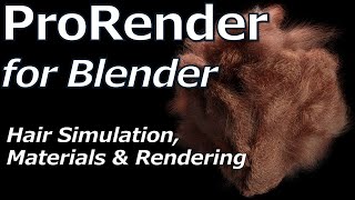 Radeon ProRender for Blender | Hair Simulation, Materials and Rendering