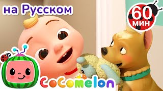 Моя собака Бинго🐶 | Сборник 1 Час | CoComelon на русском — Детские песенки