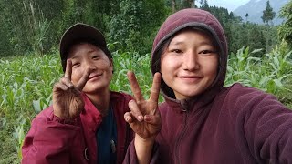 another day of our life. #villagelifestyle #farming #dzongu #womens