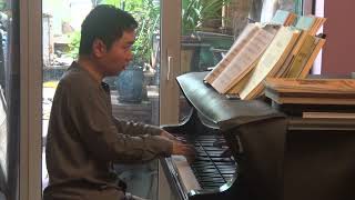 Wenyu Shen plays Beethoven-Liszt Symphony No.6 "Pastoral" 4 Mov