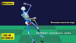 Fast Bowling Biomechanics & Kinetic Chain | CRICKET 🏏 |