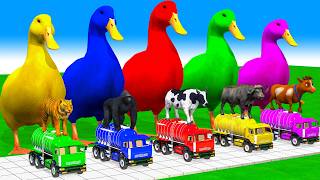 5 Giant Duck Cartoon, Cow, Mammoth, Elephant, Tiger, Paint Wild Animals Crossing Fountain Animation