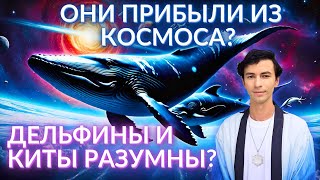 ✨ТАЙНА ДЕЛЬФИНОВ И КИТОВ СЕНСАЦИОННЫЙ КОНТАКТ С МОРСКОЙ РАСОЙ ИНОПЛАНЕТЯН ЧЕННЕЛИНГ ФИДРЯ ЮРИЙ