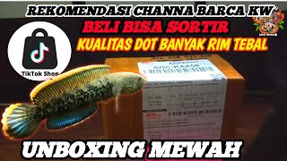 UNBOXING CHANNA STEWARTY SULTAN RIM TEBAL DOT GEDHE-GEDHE!!