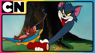 Tom & Jerry 😺🐭| Pranks Galore with Tom & Jerry! 😝| #catandmouse | #tomandjerry | @cnindia