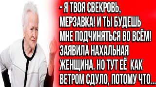 Я твоя свекровь, мерзавка! И ты будешь мне подчиняться во всём! Заявила нахальная женщина. Но...