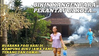 SUNGGUH BIKIN KANGEN KAMPUNG HALAMAN...!!! Suasana Desa Di Kabupaten Blora Jawa Tengah.