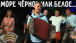 Море Чёрное или Белое... | Алексей Медведев (Владимирская область) | @igraygarmon