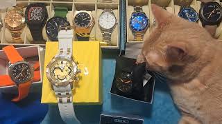 SEIKO KILLS IT AGAIN! GIGANTIC Invicta Dive Watch Review Unboxed Amazon Haul Unboxing Budget Watches