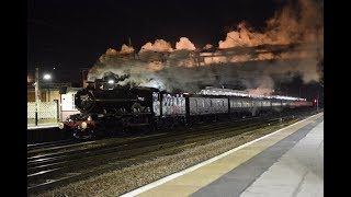 The Christmas White Rose with 5043 'Earl of Mount Edgcumbe' 09/12/17