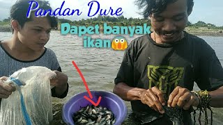 MENJARING IKAN DIBENDUNGAN PANDAN DURE LOMBOK TIMUR || Part1