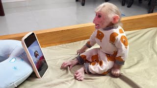 Monkey Luk surprised when received phone call from mom after many days