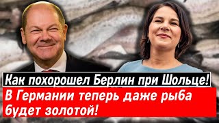 Как похорошел Берлин при Шольце! В Германии теперь даже рыба будет золотой!