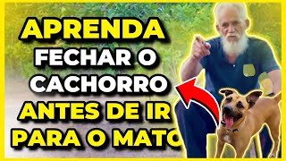 TUDO QUE VOCÊ PRECISA SABER SOBRE AS MANDINGAS DA CAÇADA DE CACHORRO | CAUSOS DE CAÇADA