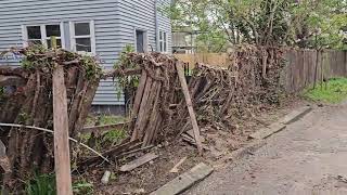 Dead TREE FALL on the ROOF of the HOUSE😱