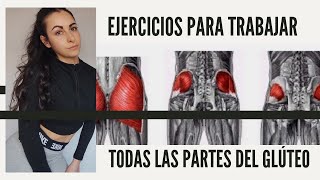 Trabaja todo el glúteo con estos ejercicios 🍑 #gluteosencasa #gluteos @unestilodevidasaludable