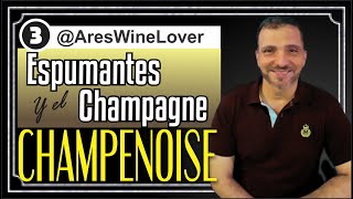 Los Vinos espumantes y el Champagne (3/10) Todo Sobre El VIno