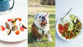 Baked Oatmeal Squares & Mexican Budhha Bowl (easy vegan recipes!) + Fun at the Park with Mr. Truck