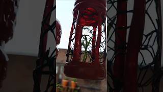 Plant Lanterns #shorts #ytshorts #nature #gardening #crafts #diy #flowers #plants #plantpot