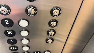 ThyssenKrupp Endura Elevator @ NMSU Domenici Hall - Las Cruces NM