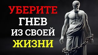 Вы НИКОГДА БОЛЬШЕ НЕ БУДЕТЕ ЗЛИТЬСЯ после просмотра этого