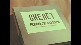 "Скелет Аполлона" 1965 год  Вицин, Смирнов, Крамаров. Моргунов