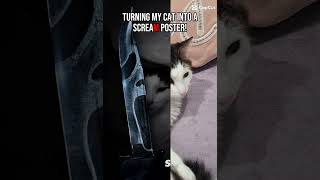 Turning My cat into a scream poster! #cat #scream #funny #memes