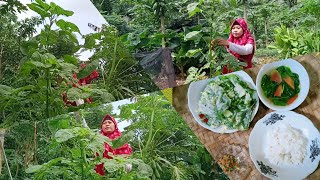 Cara Membuat Sayur Bayam (Spinach)- cara membuat kripik bayam