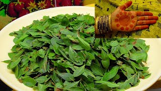 How to make homemade mehendi | గోరింటాకు బాగా ఎర్రగా పండాలంటే ఇవి కలపండి Natural Mehandi in telugu