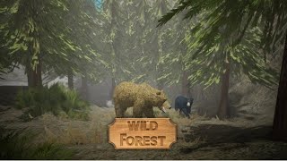 ROBLOX Gameplay Wild Forest