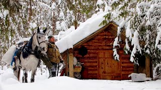 УШЁЛ ОТ ВСЕХ НА ЛОШАДИ В ЛЕСНУЮ ИЗБУ, А ТУТ ТАКОЕ...