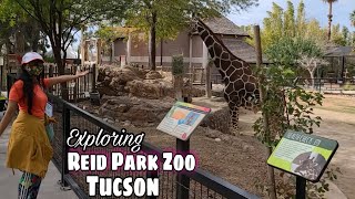 Visiting Reid Park Zoo Tucson Arizona | Life in America Vlog