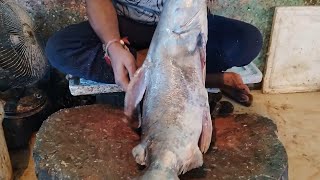 Amazing Fish Cutting Style in Mayurbhanj 🔥 Amazing Big Sea Fish Cutting Skills