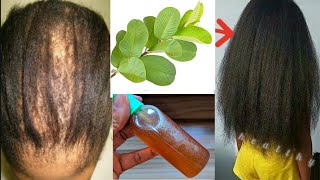 The Indian secret, 🌿 to grow hair at a rocket speed and treat baldness from the first week