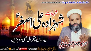 Molana Jafar Hussain Qureshi - Shahadat Ali Asghar - Heart Touching Bayan