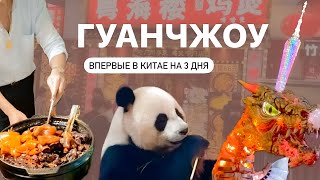 ПЕРВЫЙ РАЗ В КИТАЕ 🇨🇳 ГУАНЧЖОУ ЗА 3 ДНЯ: панды, сафари, ужасная еда и красивые храмы GUANGZHOU 2024