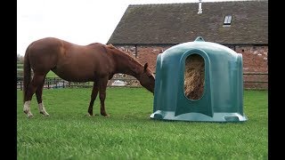 haybell feeder