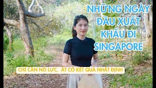 HỒI ỨC VỀ NHỮNG NGÀY ĐẦU NGÂY NGÔ LÀM XUẤT KHẨU HÀNG QUA SINGAPORE