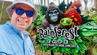 Delicious Dinner at Rainforest Cafe Vlog