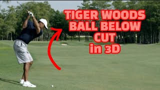 TIGER WOODS Ball Below Cut in 3D ↪️