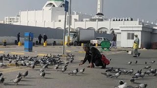 Filosofi BURUNG : Terbang Kemanapun Akan Kembali (To Allah) | Belajar Konsep Hidup Bahagia