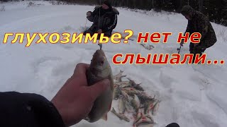 Сколько же тут рыбы? Клюёт как из пулемёта.